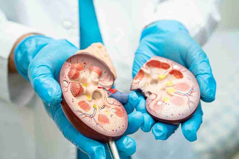 Kidney Disease | Can It Occur Without Symptoms?