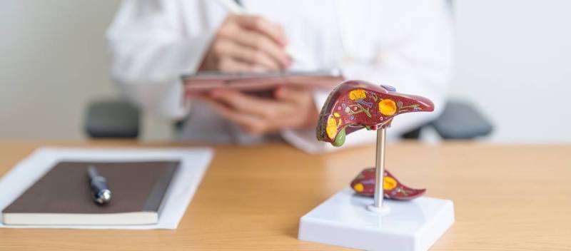Illustration of a human liver affected by hepatitis, showing inflammation and damage to liver tissue