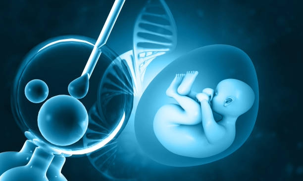 Close-up image of a human embryo developed in a laboratory during an IVF procedure