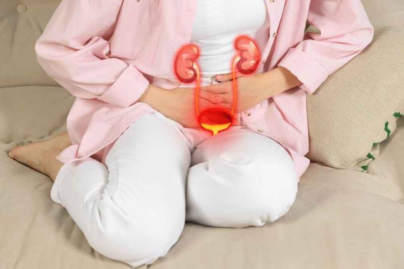 A medical illustration showing the urinary bladder and urethra, highlighting inflammation of the bladder walls caused by infection or irritation, representing cystitis and its symptoms