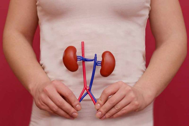 أسباب زلال البول وأعراضه وطرق العلاج